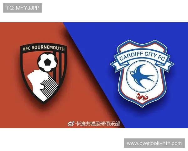 卡迪夫城足球俱乐部的历史发展与未来前景分析